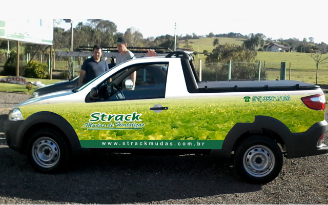 plotagem strack mudas